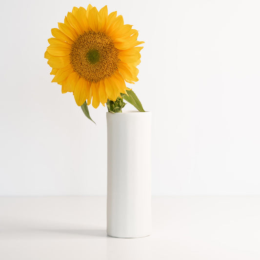 bloom vase