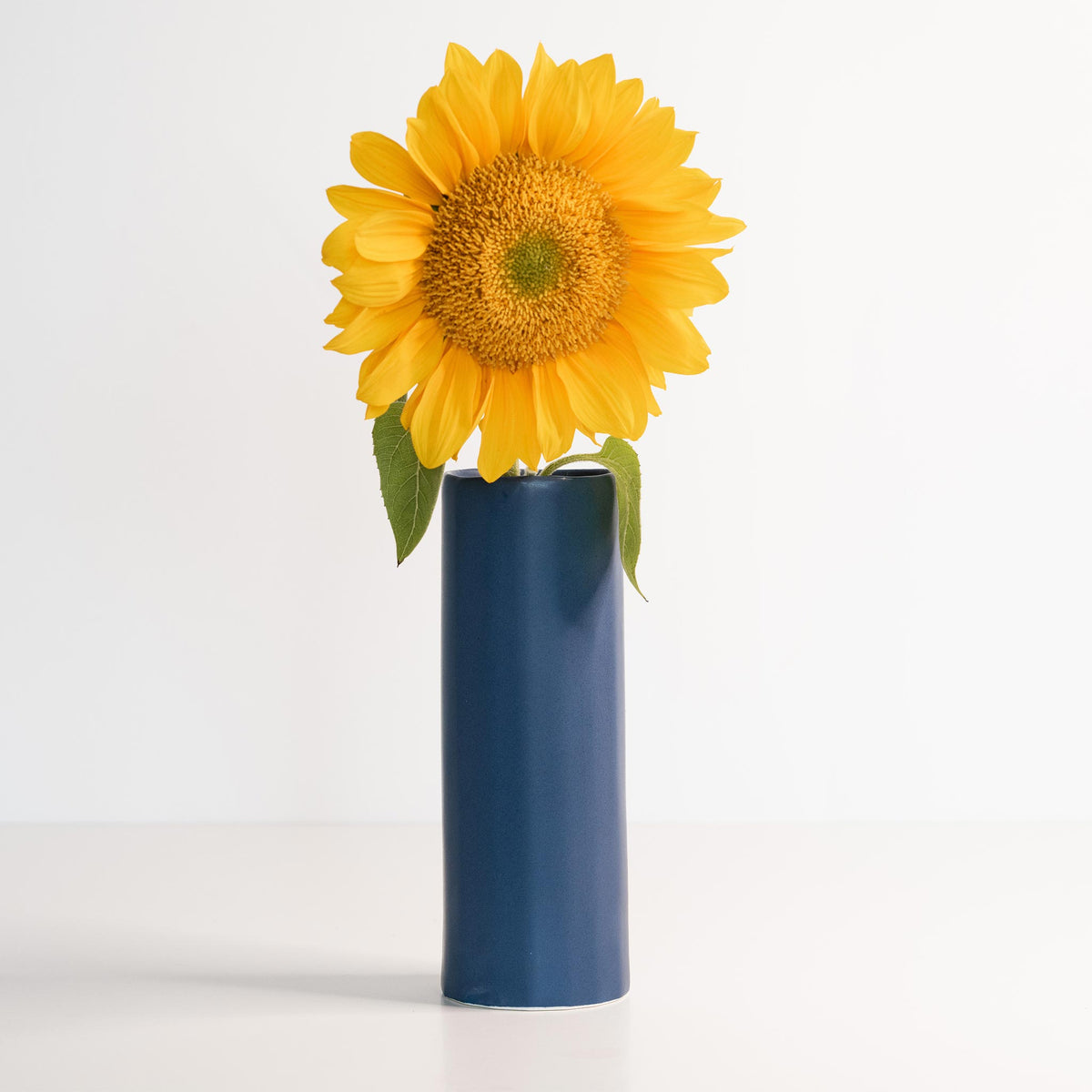 bloom vase