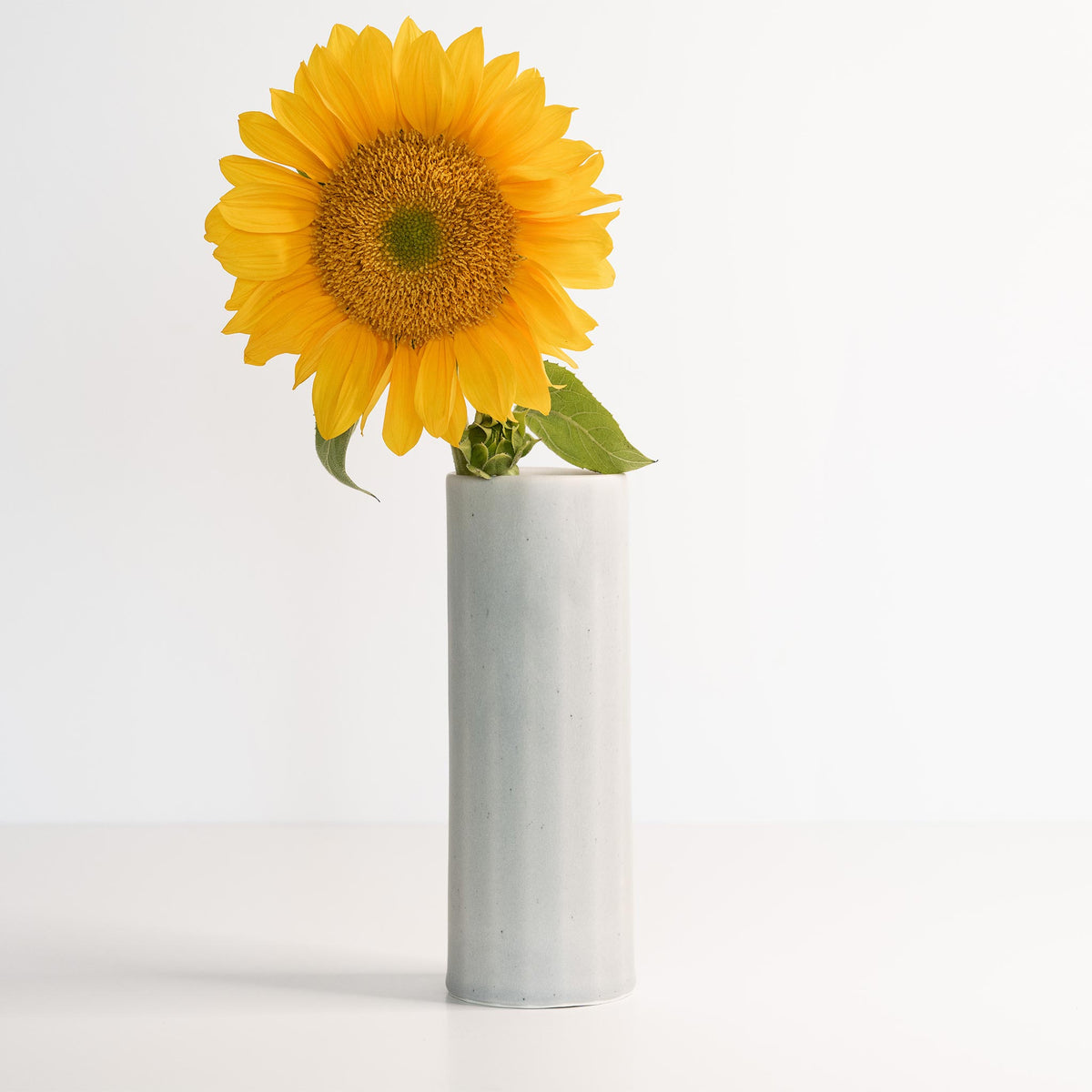 bloom vase